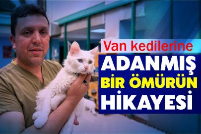 Van kedilerine Adanmış Bir Ömürün Hikayesi