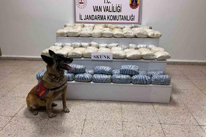 Van’da 47 kilo skunk ele geçirildi