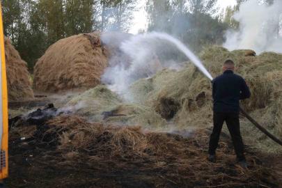 Van’da bin bağ ot yandı