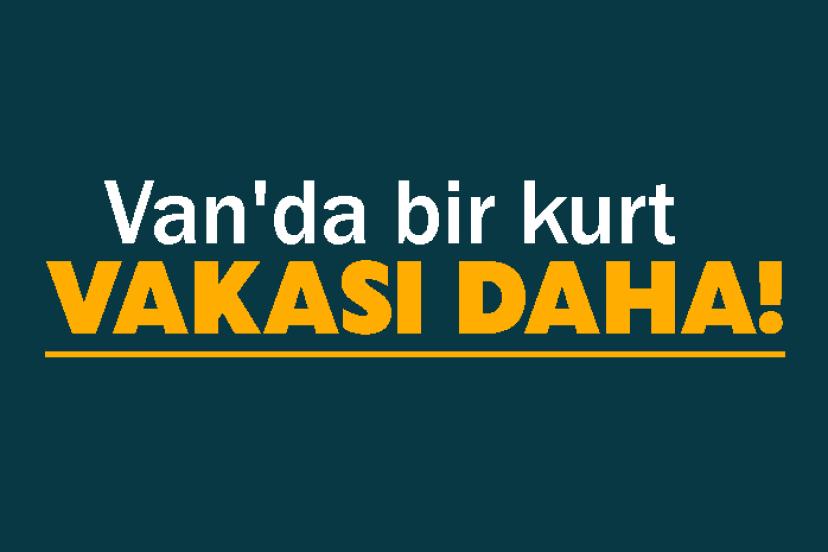 Van'da bir kurt vakası daha!