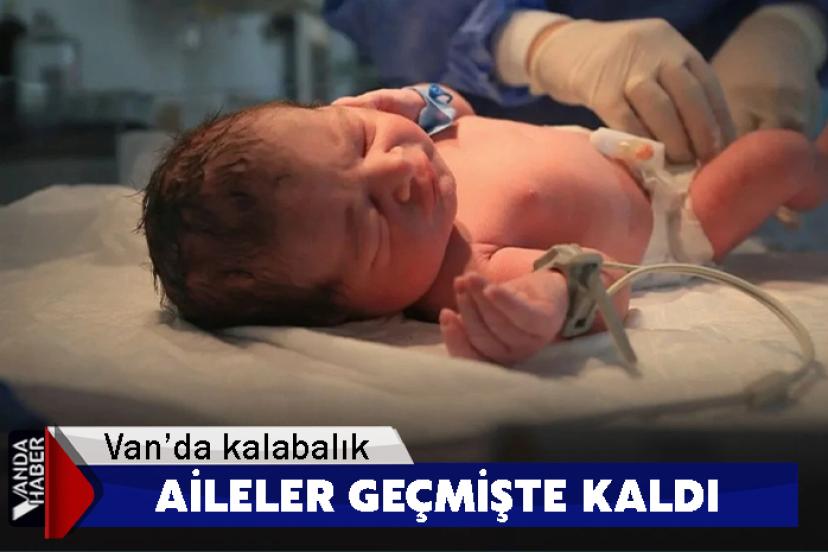 Van’da doğumlar azaldı, kalabalık aileler geçmişte kaldı