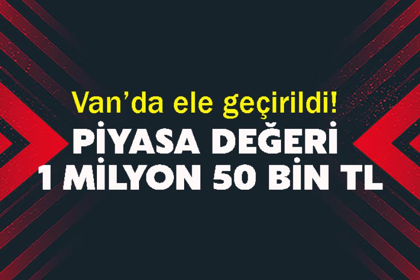 Van’da ele geçirildi! Piyasa değeri 1 milyon 50 bin TL