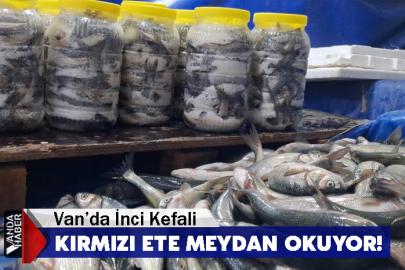 Van’da İnci Kefali Kırmızı Ete Meydan Okuyor!