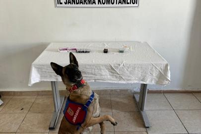 Van’da İran uyruklu şahsın üzerinden 380 adet sentetik hap ele geçirildi