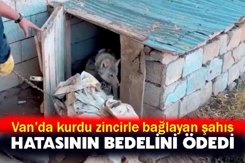 Van’da kurdu zincirle bağlayan şahıs hatasının bedelini ödedi