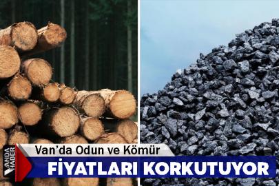 Van’da Odun Ve Kömür Fiyatları Korkutuyor