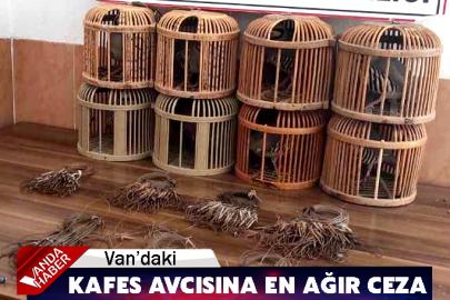 Van’daki Kafes Avcısına En Ağır Ceza