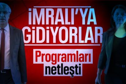 DEM Parti Heyeti, 3 Kasım'da İmralı'ya gidecek