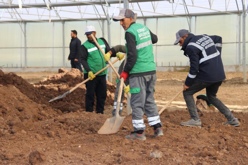 Edremit Belediyesi yeni dönem için serasını yeniliyor