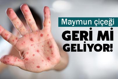 Maymun çiçeği virüsü geri mi geliyor!