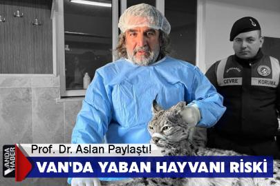 Prof. Dr. Aslan Paylaştı! Van'da Yaban Hayvanı Riski