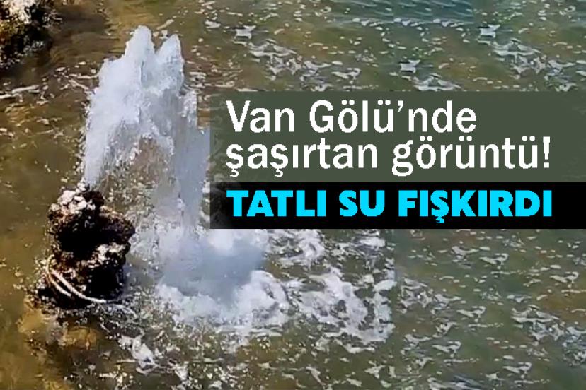 Van Gölü’nde şaşırtan görüntü! Tatlı su fışkırdı