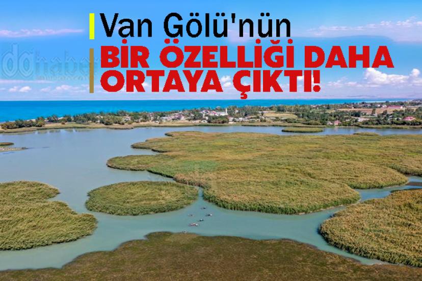 Van Gölü'nün bir özelliği daha ortaya çıktı!