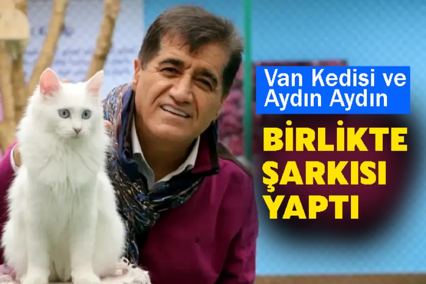Van Kedisi ve Aydın Aydın Birlikte Şarkısı yaptı