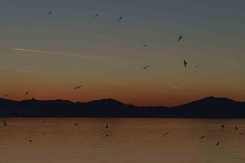 Van semalarında kartpostallık akşam: Uçaklar, kuşlar ve kızıl günbatımı büyüledi