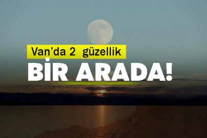 Van’da 2  güzellik bir arada!