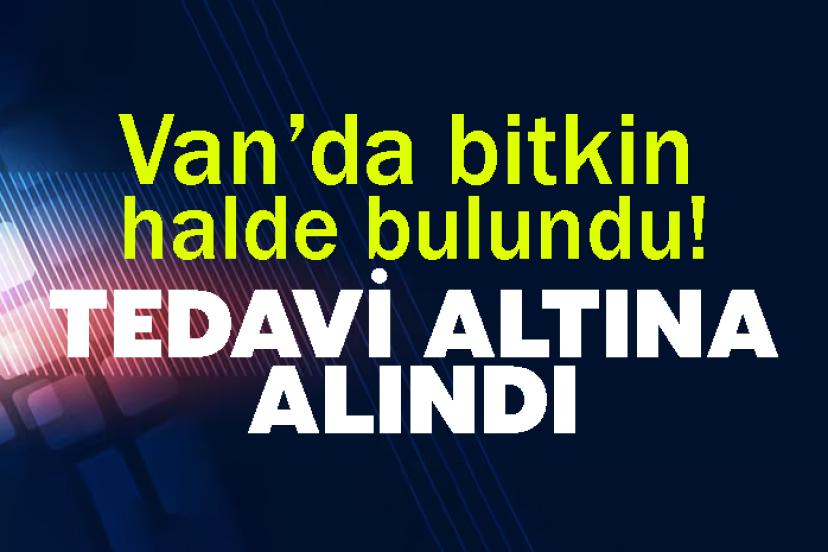 Van’da bitkin halde bulundu! Tedavi altına alındı