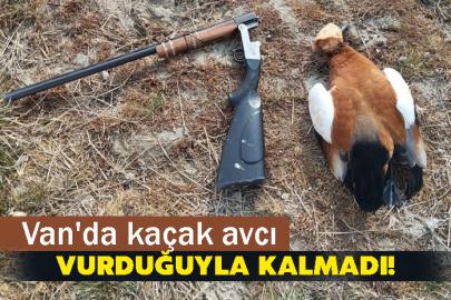 Van'da kaçak avcı vurduğuyla kalmadı!