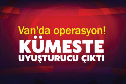 Van'da operasyon! Kümeste uyuşturucu çıktı