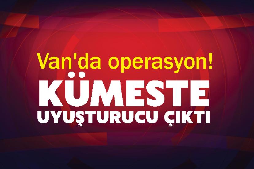 Van'da operasyon! Kümeste uyuşturucu çıktı