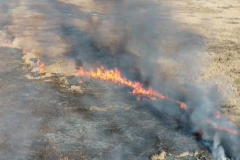 Van’da sazlık yangını