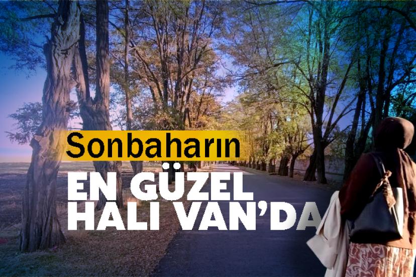 Sonbaharın En Güzel Hali