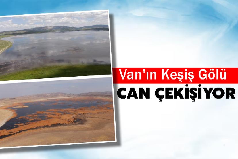 Van'ın Keşiş Gölü Can Çekişiyor