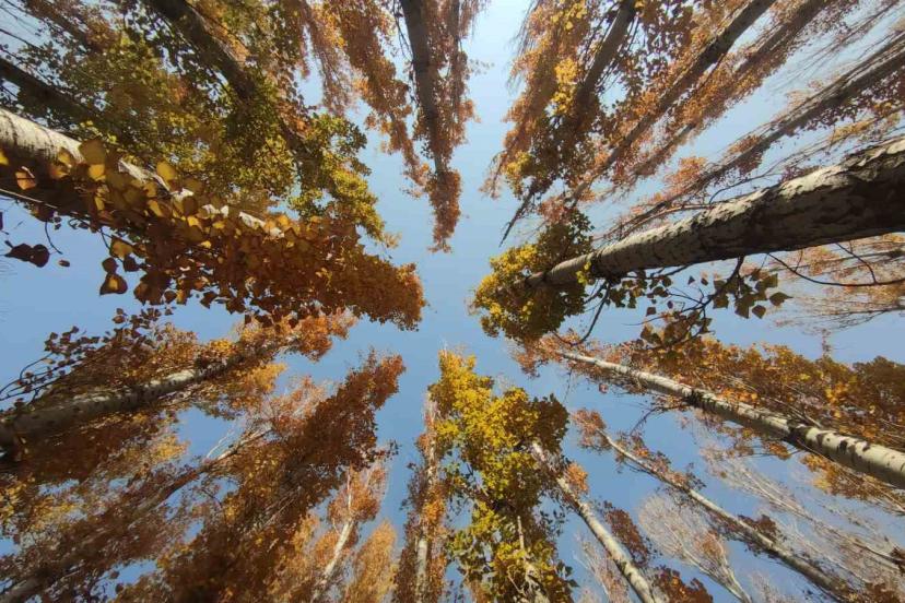 Van’ın sonbahar güzelliği: Van Kalesi ve Atatürk Kültür Parkı ziyaretçilerin gözdesi oldu