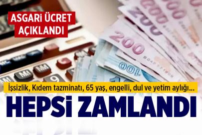 Asgari ücret açıklandı! İşsizlik, kıdem tazminatı, 65 yaş, dul ve yetim aylığı değişti