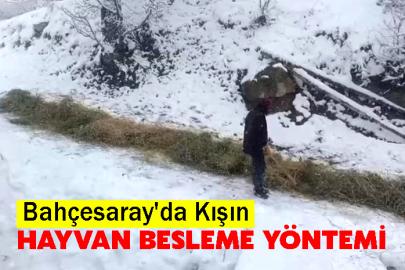 Bahçesaray'da Kışın Hayvan Besleme Yöntemi