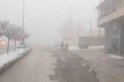 Başkale’de sis etkili oldu