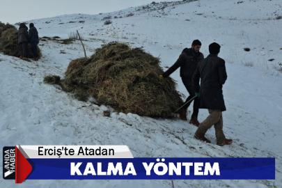 Erciş’te asırlık kış mesaisi: Otlar kızaklarla köye taşınıyor