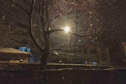 Erciş’te kar yağışı