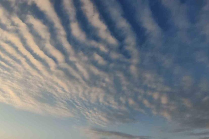 Sirrokümülüs bulutları Van semalarında görsel şölen sundu