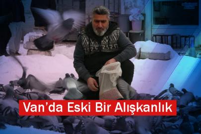 Van’da kar sonrası güvercinlerden görsel şölen
