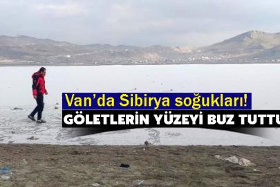 Van’da Sibirya soğukları! Göletlerin yüzeyi buz tuttu