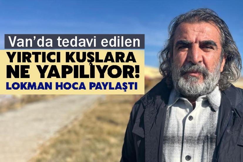 Van’da tedavi edilen yırtıcı kuşlar ne yapılıyor!
