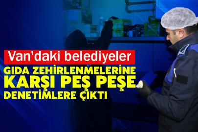 Van'daki belediyeler gıda zehirlenmelerine karşı peş peşe denetimlere çıktı