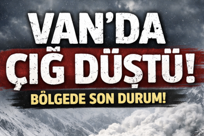 Çatak’ta çığ düştü: Sürücü son anda kurtuldu