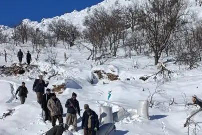 Hakkari’de çığ ahırları yuttu: Çok sayıda küçükbaş telef oldu