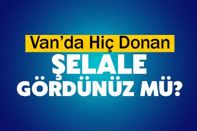 Muradiye Şelalesi eksi 12 derecede buz tuttu