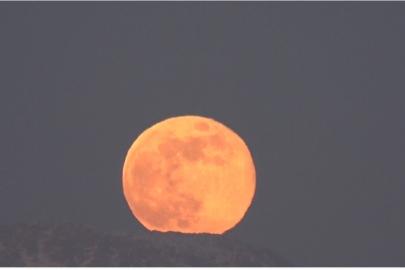 Van’da 2026’nın ilk gökyüzü şöleni: "Kurt Dolunayı" görsel şölen sundu