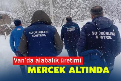 Van’da alabalık üretimi mercek altında