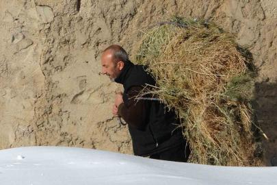 Van’da besicilerin zorlu kış mesaisi