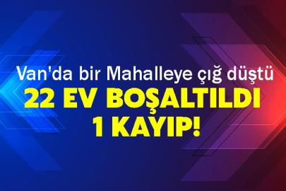 Van'da bir Mahalleye çığ düştü