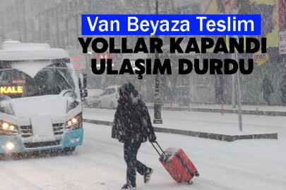 Van Beyaza Teslim: Kar Yağışı Hayatı Durdurdu