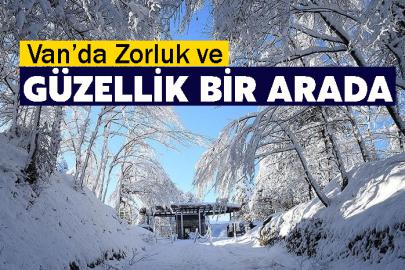 Van’ın kırsal mahallelerinde karla gelen güzellik