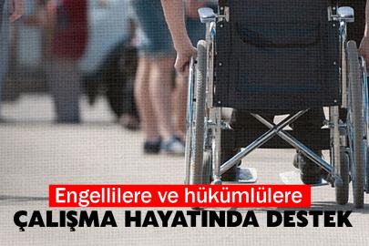 Engellilere ve hükümlülere çalışma hayatında destek