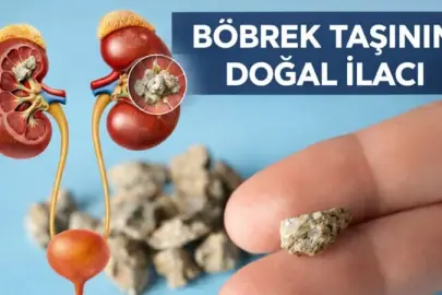 Her gün 1 avuç yiyin: Böbrek taşını kaydırıp atıyor...