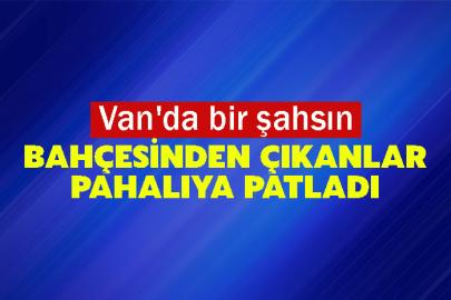 Van'da bir şahsın Bahçesinden Çıkanlar Pahalıya Patladı